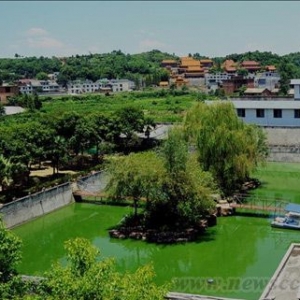 “气功大师”王林“王府”内景曝光