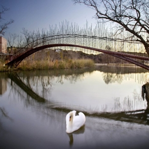 ˹͡ţPedestrian Bridge