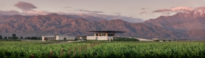 O. FournierׯO. Fournier Winery