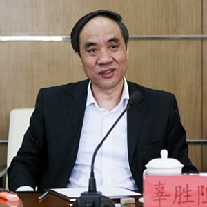 辜胜阻:城镇化中政府既不能越位也不能缺位