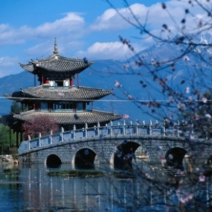 时评:文化建筑复兴是民族文化复兴的“金丹”