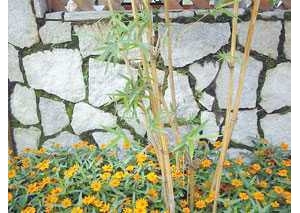 园林石墙造景常见8手法