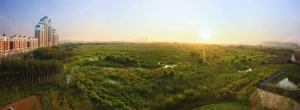 Ⱥʪع԰Qunli Stormwater Wetland Park