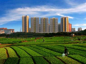 罗天昊:保护耕地到底为什么