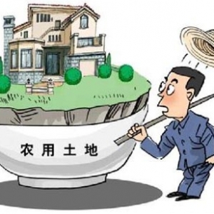 时评:“城镇化”是农民的不是开发商的
