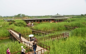 时评:莫让湿地变“失地”