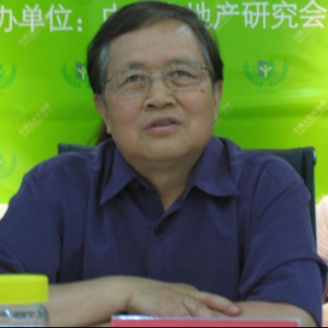 开彦:绿色建筑亟需产业化来实现