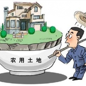 时评:城镇化须尊重农村主体性
