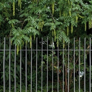 汉堡花卉植物园入口