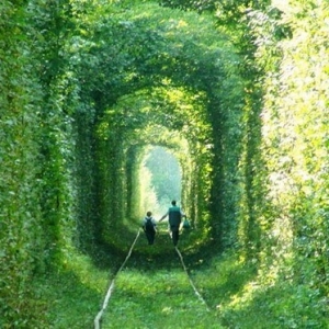 ڿɫλá