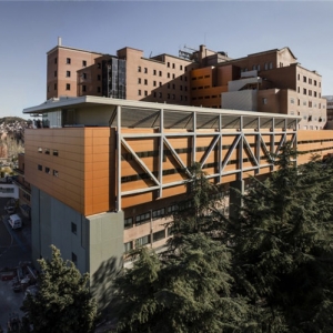 ߶״ѧҽԺVall dHebron Hospital