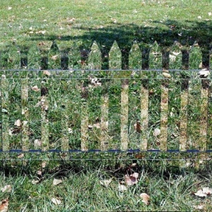 դ