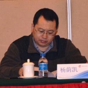 杨荫凯:新型城镇化到底新在哪儿