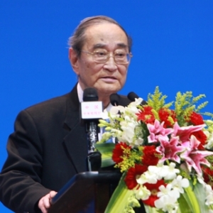 厉以宁:新城镇化不能走老路