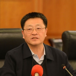 葛红林:新型城镇化应做好三个前提工作