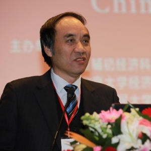 辜胜阻:新型城镇化路径是“3+X”