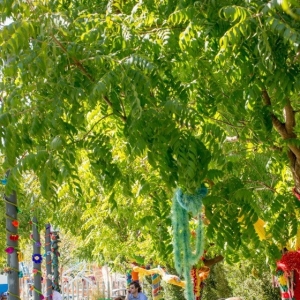 美国达拉斯城市公园景观设计