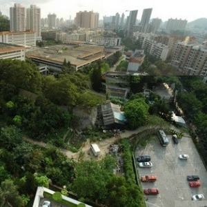 玉竹文化广场景观