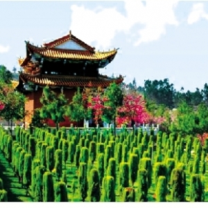 时评:不妨创造性地将公墓园林化