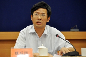 魏后凯:未来城镇化的主战场在中西部地区