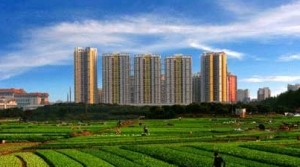 时评:新型城镇化建设必须重视空间正义