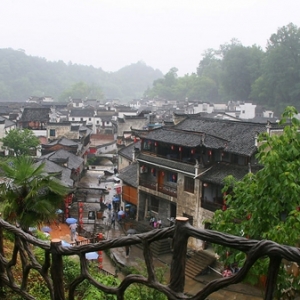 查理·萨兰泽:谈社区建设与自然景观