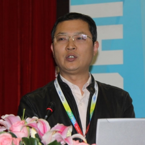 张新红:智慧城市的顶层设计与创新间需要协调