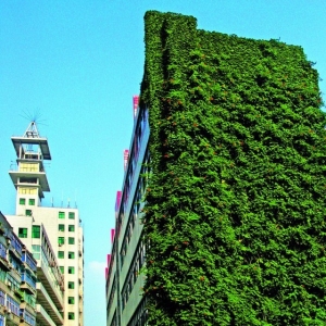 �˱����Ϸ�������ͨ����ɫͨ����