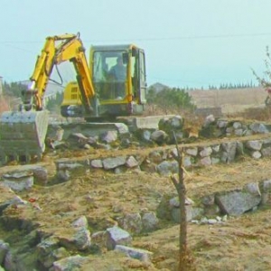 ��Ԫ���ż�͵�������� ��ɽ6��Υ���������