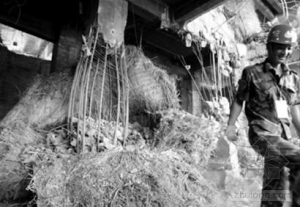 ��չ��������ը�� ԭַ����25����´�¥