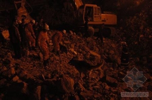 ��Ԯ����һֱ������ҹ��