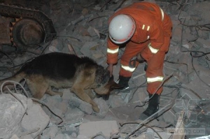 �Ѿ�Ȯ����̮���ֳ�