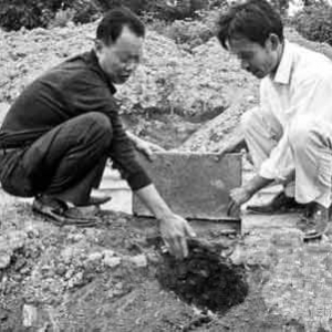 ����ʾ�������̽��ɡ�������������Ƶ����Ź