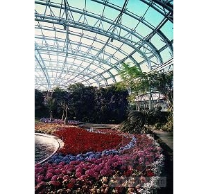 ����ֲ��԰����չ������