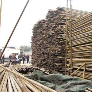 ���ؽ��ּ�̮��ѹ��һ������