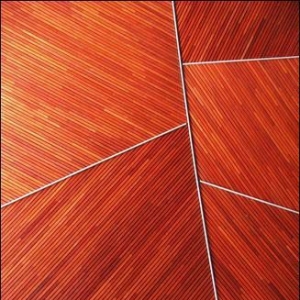 ���ñ��˵�һ����Ƭ����������