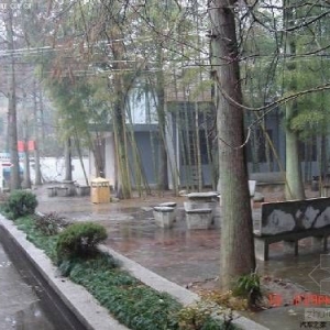 ���������Ժ��