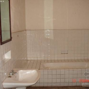 ����ҶȺ��