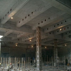 ����ȹ��������(������)