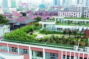 �Ϻ������ݶ��̻������½�סլ������¥ǿ��