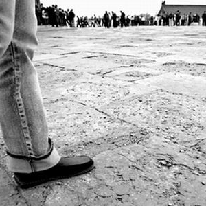 ���������̳�淽ש�߲�