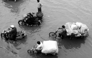 ������鹤�̽񶬿���