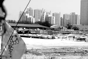 ���ʦ͸¶����ϸ�� ���񳲡�ȥ����ʡ3����Ԫ