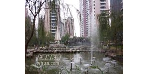 ���̵����ͻ�԰�̻����Ϻ��̵�ɭ