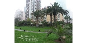 2003���Ϻ��С�԰�ֱ������ʹ�����ѡ����