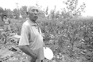 ���ز���������δ��̨ ���������������ȿ���