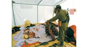 ��Ԯ�����������̹�����Ϯ 11���й���������