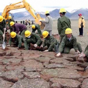 �����·���蹤���ڱ������²�Ƥ