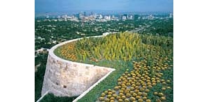 ������ƽ�