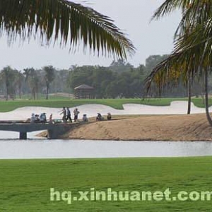 ���쵺�߶�������ƶ���